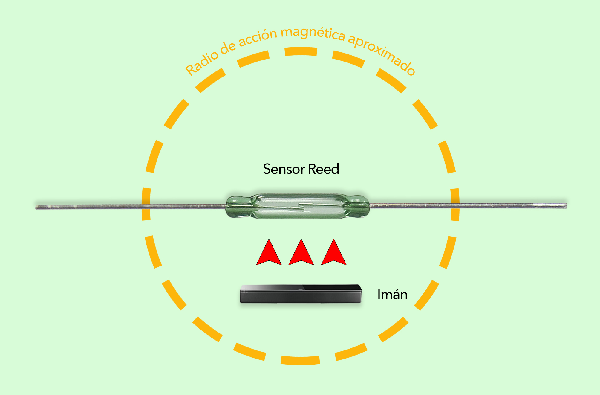 Sensor_Reed