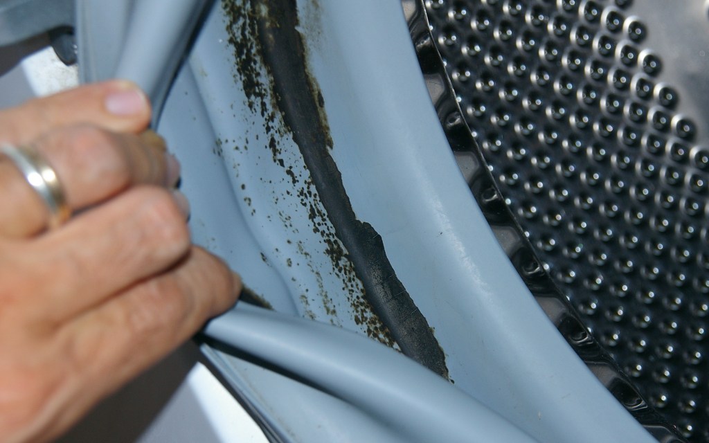 Restos de moho en la justa de goma de la puerta